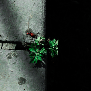 《我是纣王》漫画免费观看
